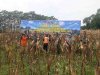 Melaksanakan Panen Jagung Di Tanah Demplot Kodim 0704/Banjarnegara